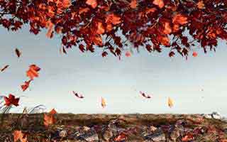 为什么越多人在聊91大事件近日,越有人盯着很多人没注意到的排序变化不放