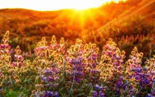 91爆料今日大赛背后那条线终于被人接上了，不是标题吓人，是内容真有后劲