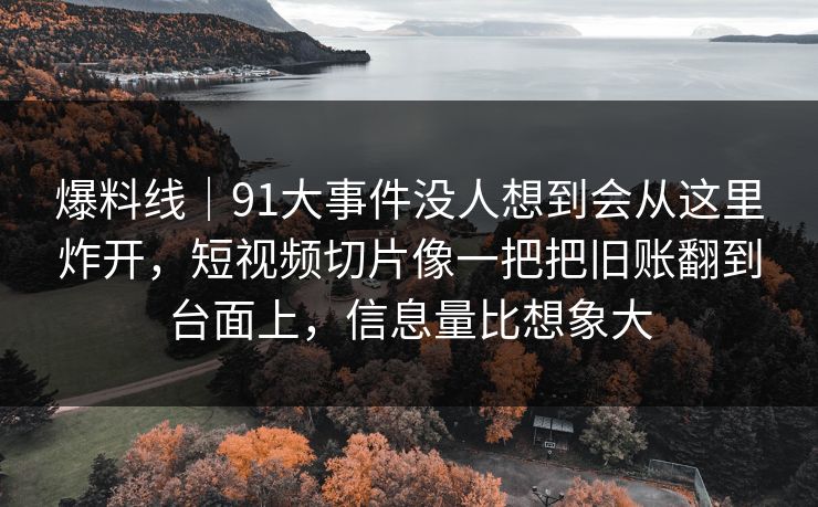 爆料线｜91大事件没人想到会从这里炸开，短视频切片像一把把旧账翻到台面上，信息量比想象大