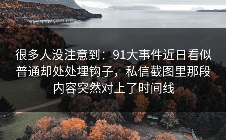 很多人没注意到：91大事件近日看似普通却处处埋钩子，私信截图里那段内容突然对上了时间线