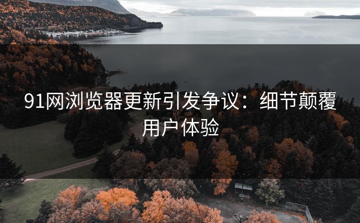 91网浏览器更新引发争议：细节颠覆用户体验