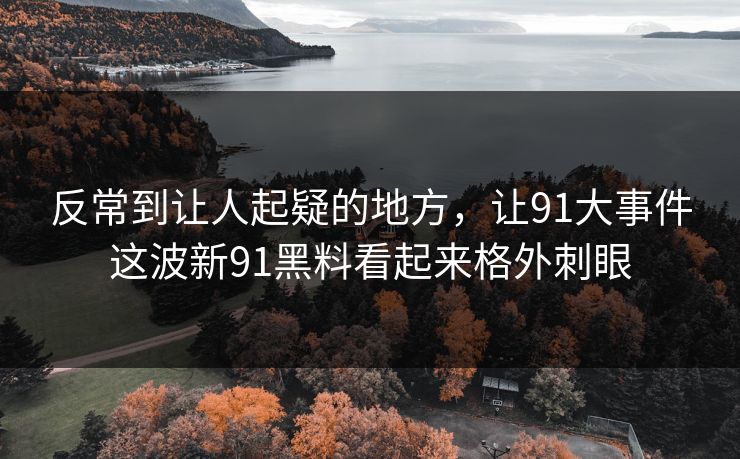 反常到让人起疑的地方，让91大事件这波新91黑料看起来格外刺眼