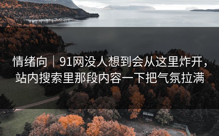 情绪向｜91网没人想到会从这里炸开，站内搜索里那段内容一下把气氛拉满
