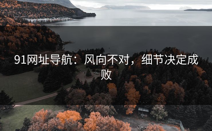 91网址导航：风向不对，细节决定成败