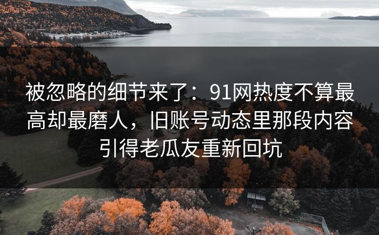 被忽略的细节来了：91网热度不算最高却最磨人，旧账号动态里那段内容引得老瓜友重新回坑