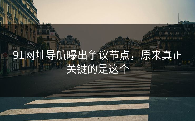 91网址导航曝出争议节点，原来真正关键的是这个