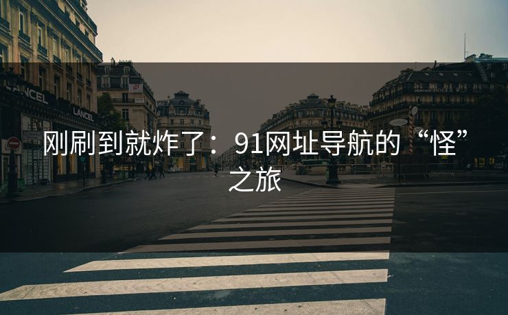 刚刷到就炸了：91网址导航的“怪”之旅