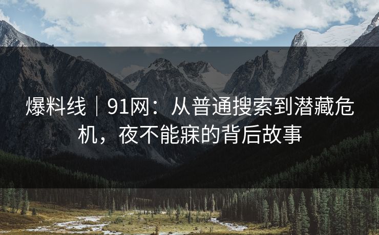 爆料线｜91网：从普通搜索到潜藏危机，夜不能寐的背后故事