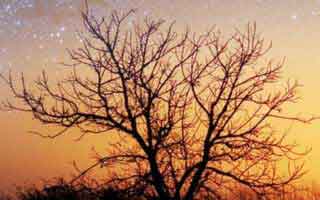 为什么越多人在聊91大事件近日，越有人盯着很多人没注意到的排序变化不放