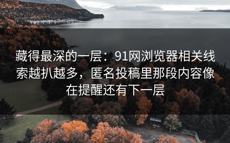 藏得最深的一层：91网浏览器相关线索越扒越多，匿名投稿里那段内容像在提醒还有下一层