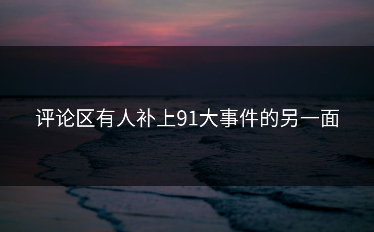 评论区有人补上91大事件的另一面